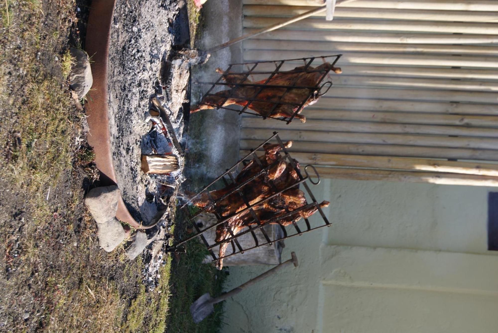 Estancia Rio De Los Ciervos Punta Arenas Bagian luar foto